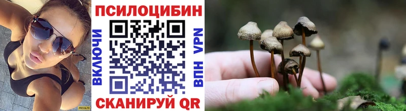 Псилоцибиновые грибы MAGIC MUSHROOMS  наркотики  Кемь 